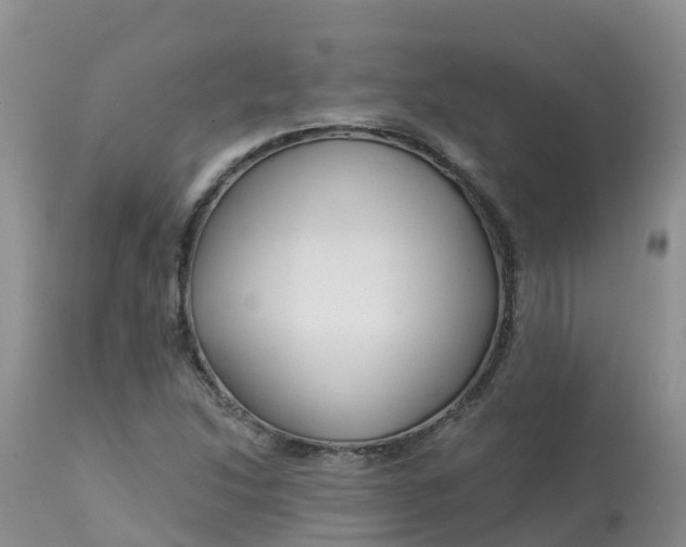 X0000113101214200909111043