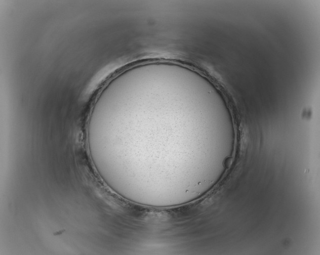 X0000113101215200909111043