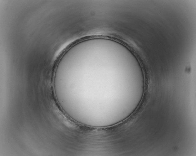 X0000113101216200909111043