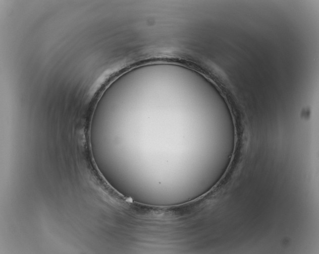 X0000113101218200909111043