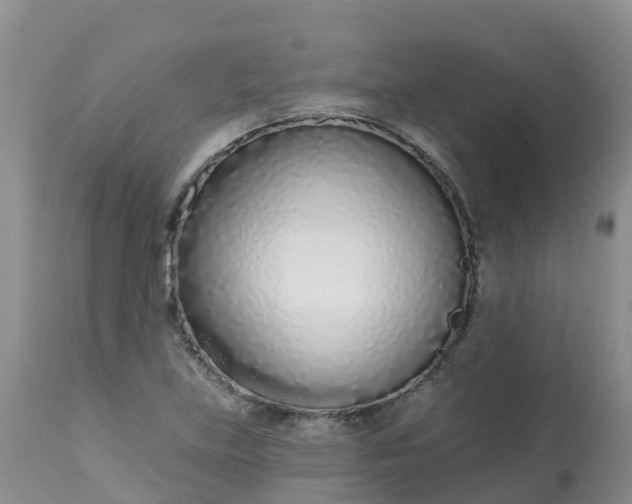X0000113101219200909111043