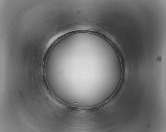 X0000113101222200909111043