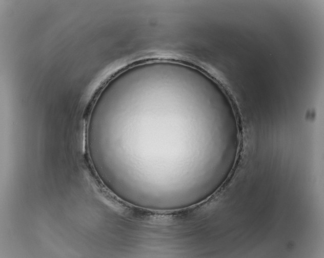 X0000113101223200909111043