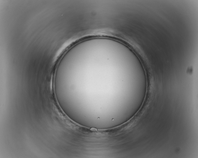 X0000113101224200909111043