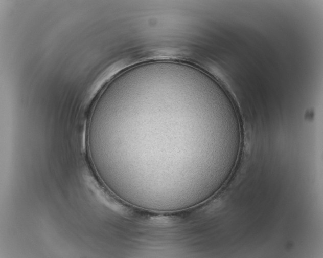 X0000113101227200909111043