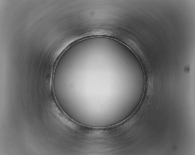 X0000113101228200909111043