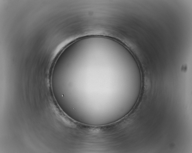 X0000113101230200909111043