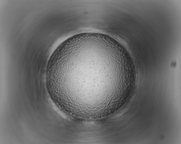 X0000113101231200909111043