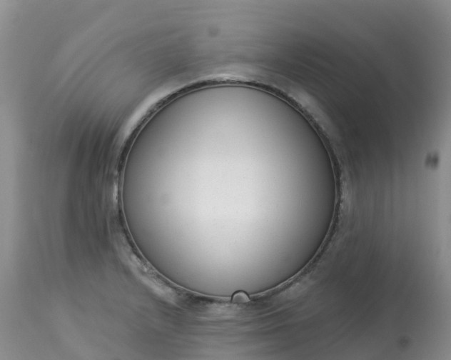 X0000113101232200909111043