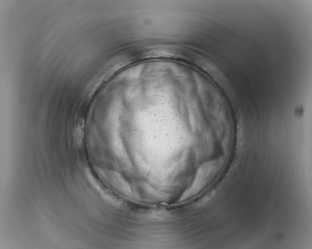 X0000113101233200909111043