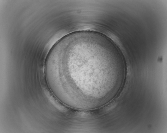 X0000113101234200909111043