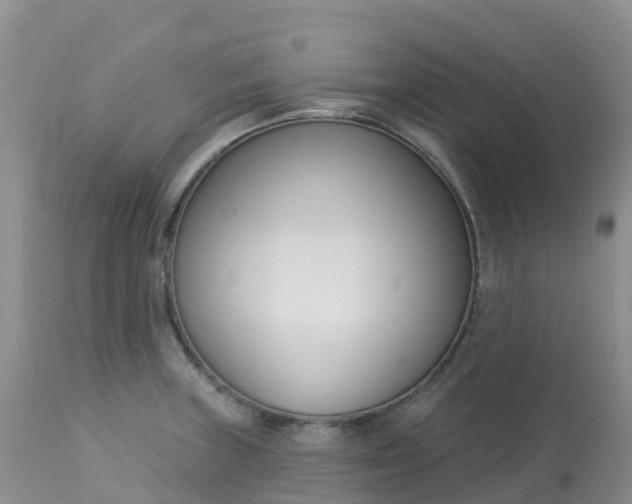 X0000113101235200909111043