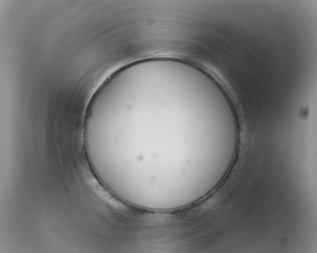 X0000113101236200909111043