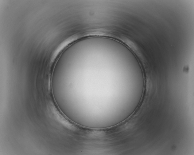 X0000113101238200909111043