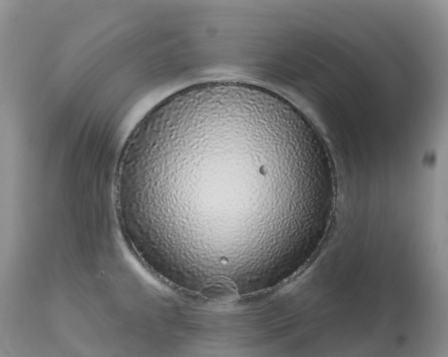 X0000113101239200909111044