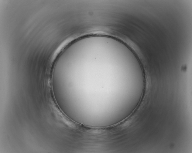 X0000113101240200909111044