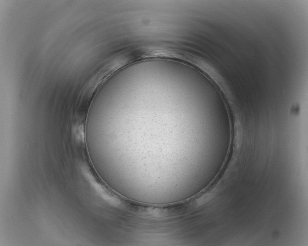 X0000113101241200909111044