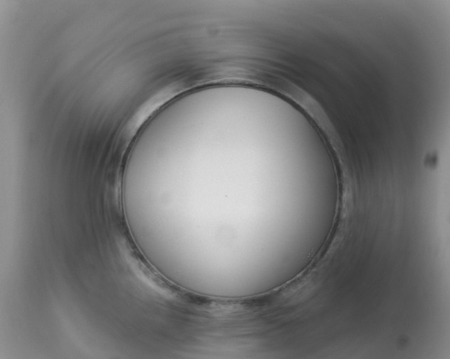 X0000113101242200909111044
