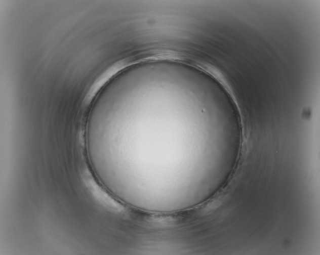X0000113101243200909111044