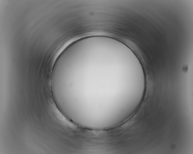 X0000113101244200909111044
