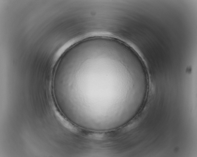 X0000113101245200909111044