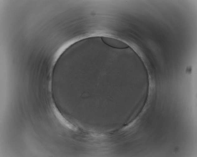 X0000113101246200909111044