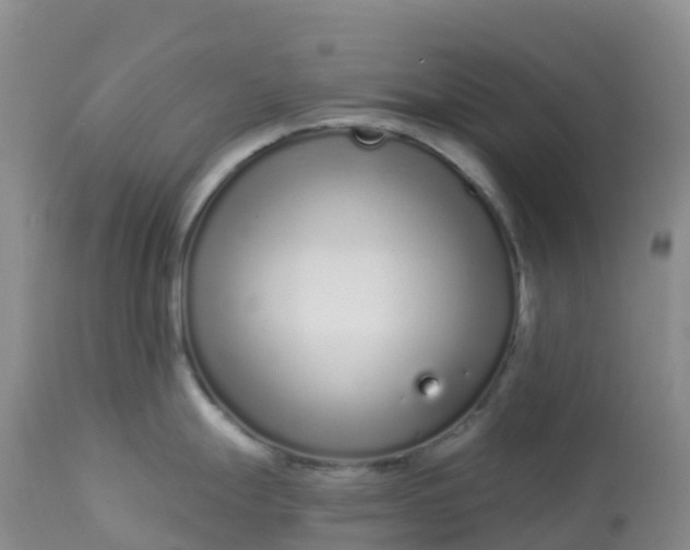 X0000113101247200909111044