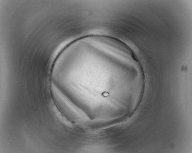 X0000113101248200909111044