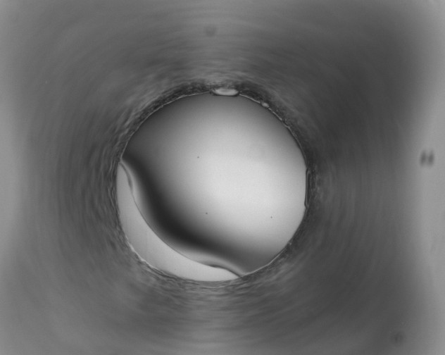 X0000113101249200909111043