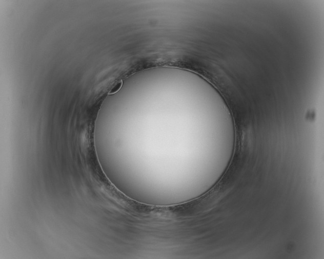 X0000113101250200909111043