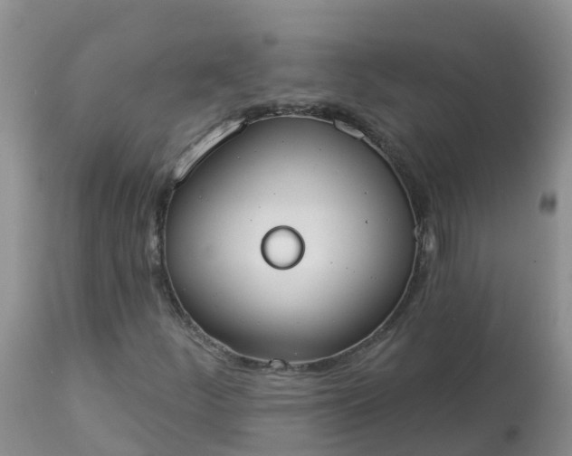 X0000113101252200909111043