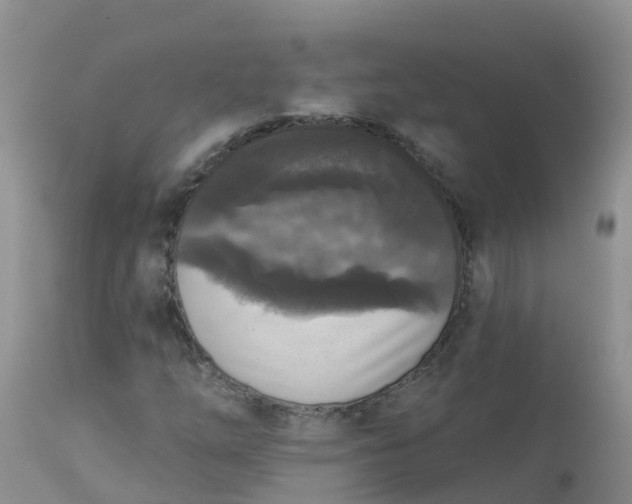 X0000113101254200909111043