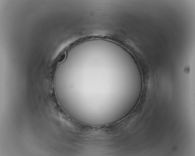 X0000113101256200909111043