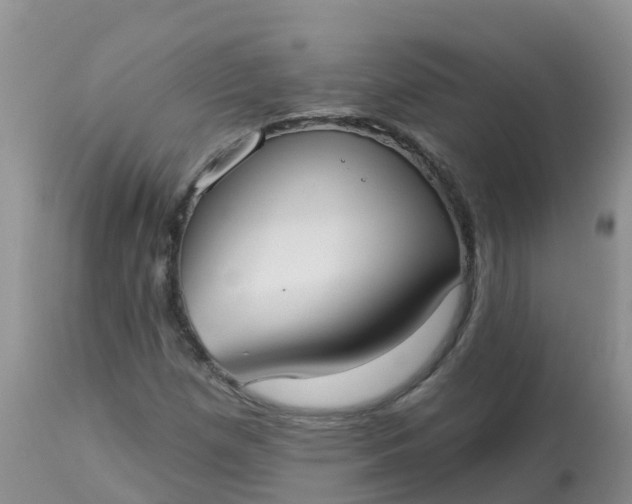 X0000113101257200909111043