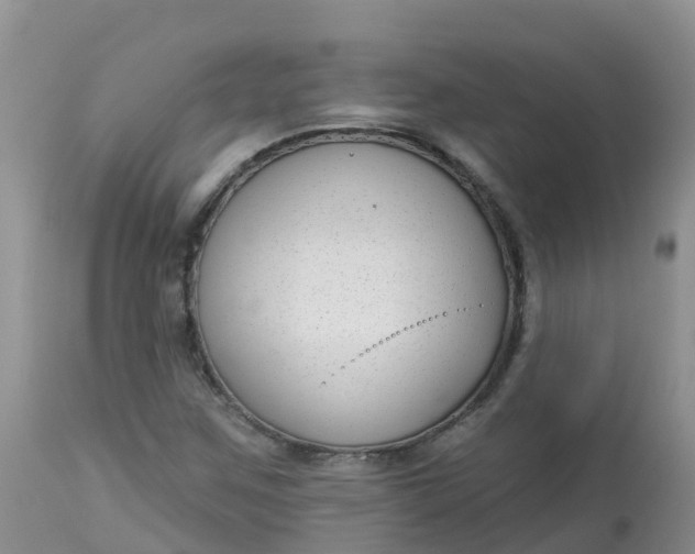 X0000113101259200909111043