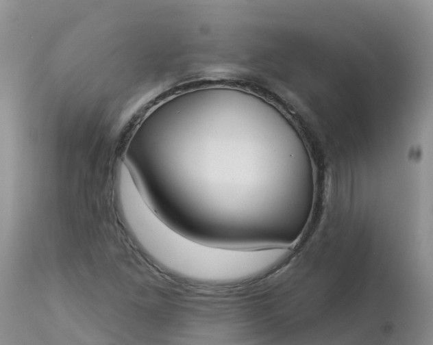X0000113101261200909111043