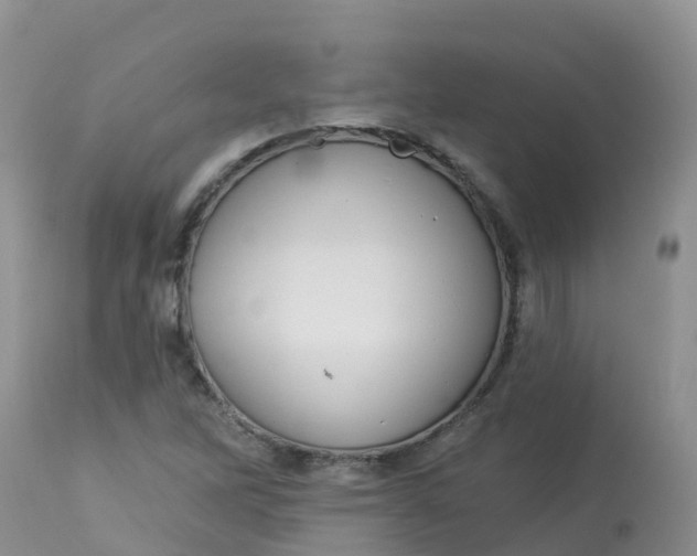 X0000113101262200909111043