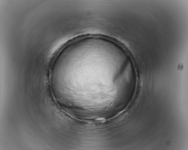 X0000113101263200909111043