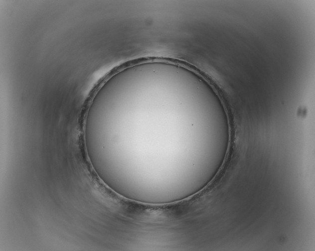 X0000113101264200909111043