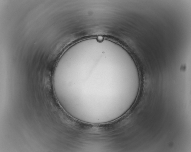 X0000113101265200909111043