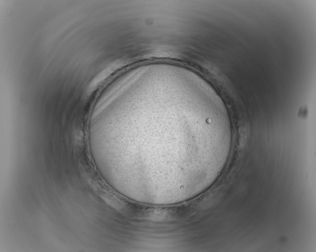 X0000113101266200909111043
