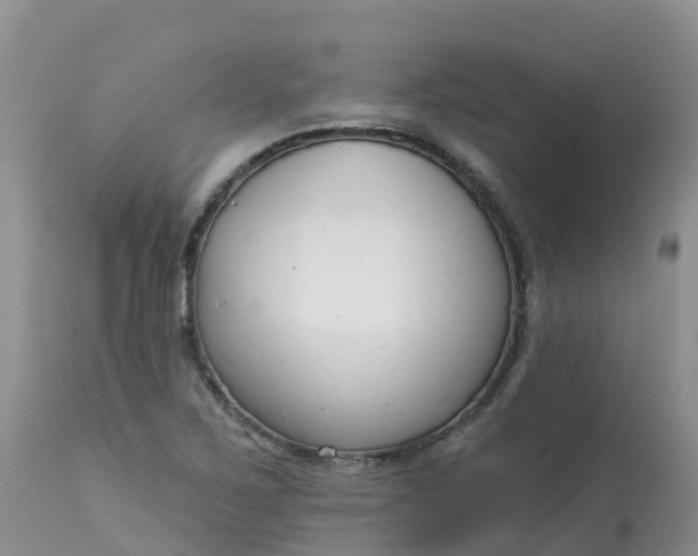 X0000113101267200909111043