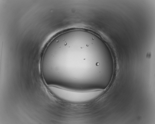 X0000113101272200909111043