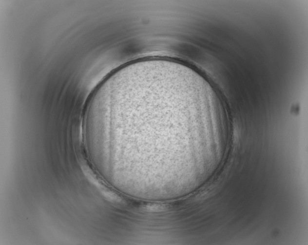 X0000113101274200909111043
