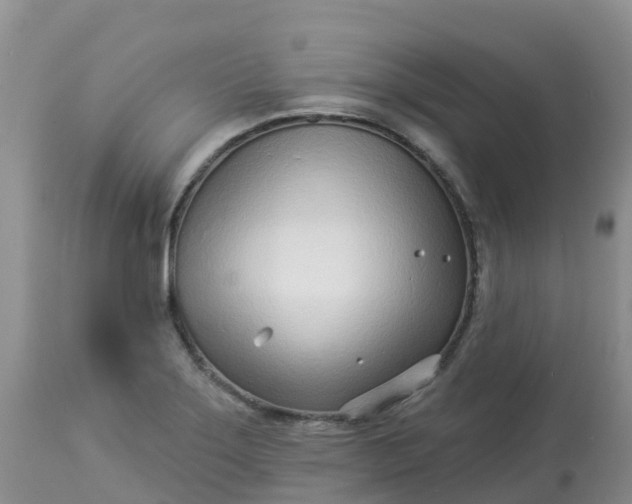 X0000113101275200909111043