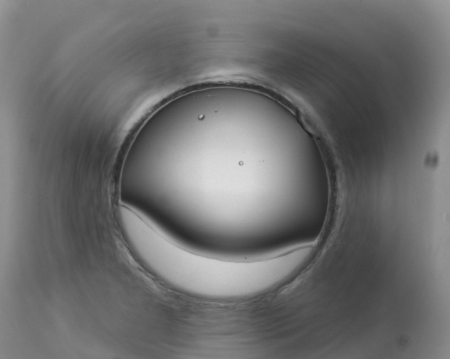 X0000113101277200909111043