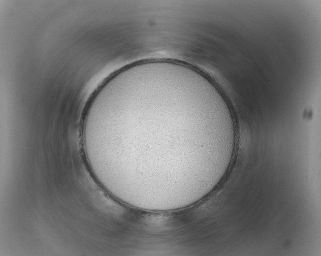 X0000113101278200909111043