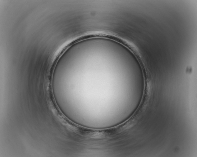 X0000113101279200909111043