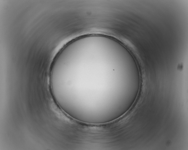 X0000113101280200909111043