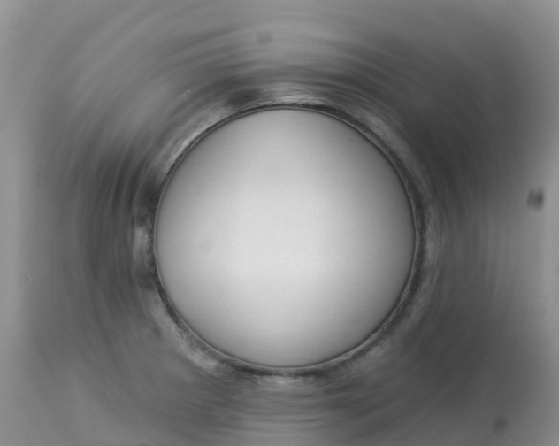 X0000113101281200909111043